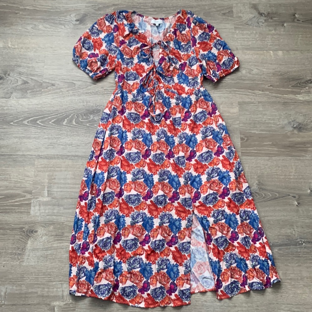 NSR Red & Blue Rose Print Short Sleeve Maxi Dress